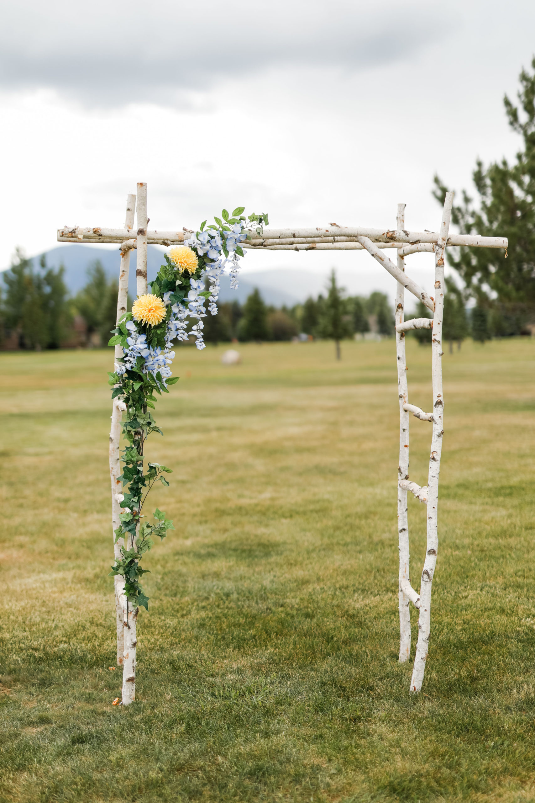 Wedding Photo Gallery - Red Lodge Mountain